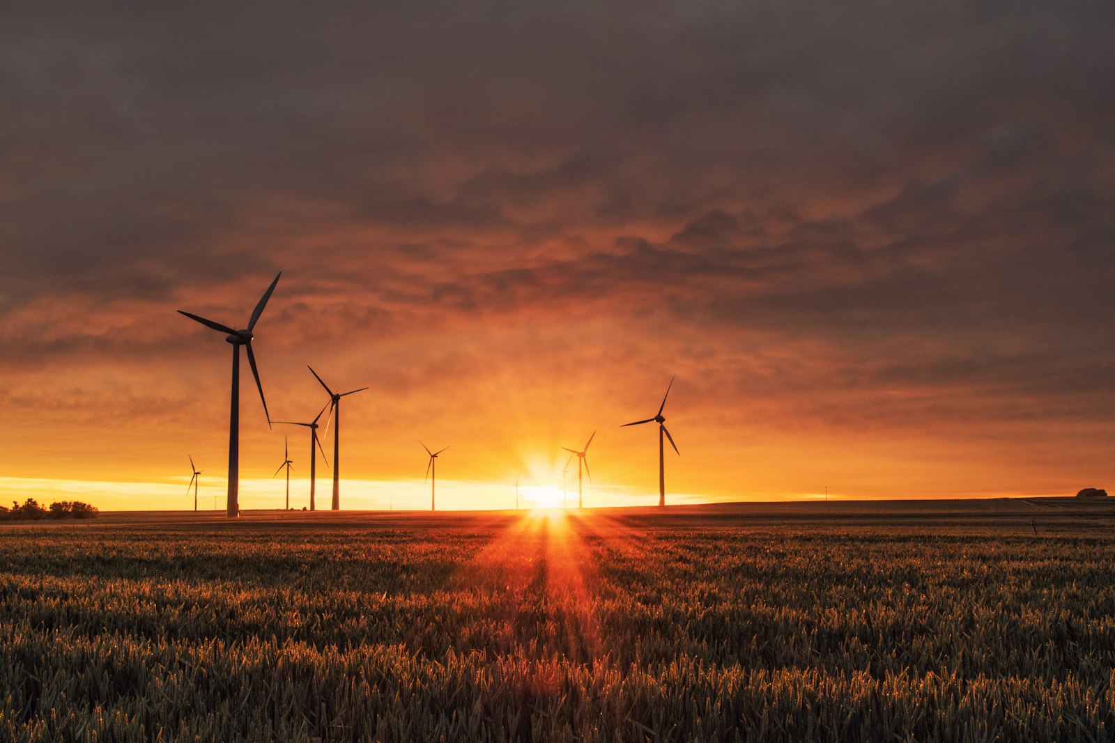 Windpark im Abendlicht